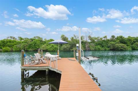 6825 Mount Orange Drive #390, St Petersburg FL - photo 7 of 76
