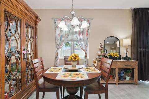 206 Hydra Way, Groveland FL - photo 11 of 38