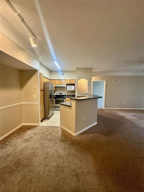 3250 Corona Village Way #206, Orlando FL - photo 6 of 31