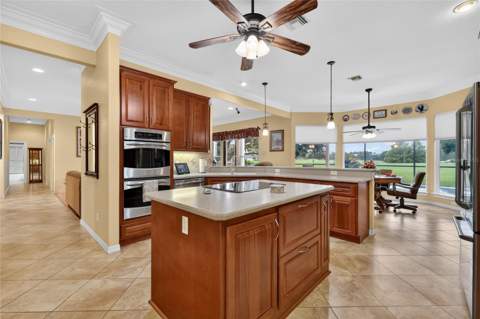 1920 Edgewater Drive, Mount Dora FL - photo 14 of 64