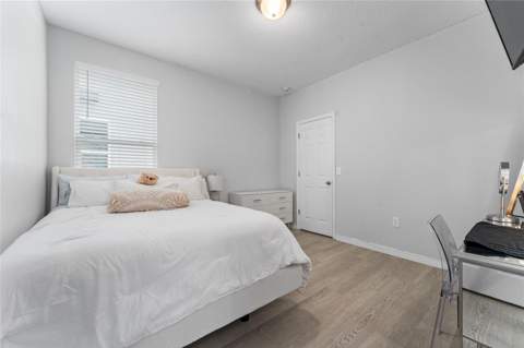 10361 Austrina Oak Loop, Winter Garden FL - photo 16 of 33