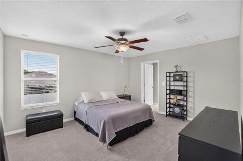4907 Wild Senna Boulevard, Tampa FL - photo 23 of 66