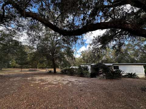 12212 NE 238Th Terrace, home for sale in Salt Springs 32134