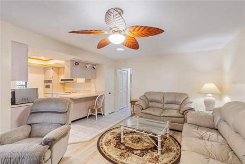 1081 McFarland Street, Dunedin FL - photo 6 of 6