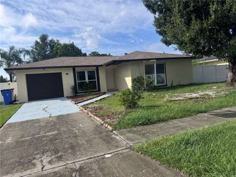5208 Carrollwood Meadows Drive, home for sale on Carrollwood Meadows Drive