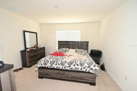 3306 Briarwood Grove Drive, Ocoee FL - photo 17 of 26