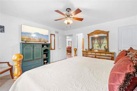 7347 Packingham Drive, Webster FL - photo 19 of 75