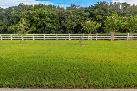 5208 Meadow Song Drive, Okahumpka FL - photo 6 of 29