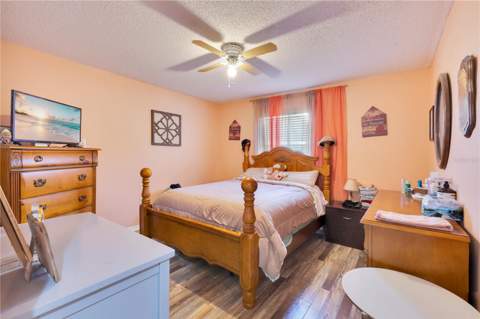 5051 Plymouth Turtle Circle, St Cloud FL - photo 10 of 31