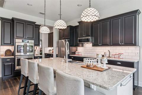 1711 Amsel Falls Park Terrace, Winter Garden FL - photo 6 of 72