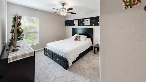 3537 N Maryland Avenue, Plant City FL - photo 8 of 14
