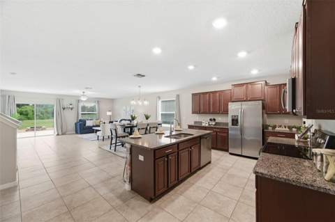 6342 Cobble Bliss Street, Zephyrhills FL - photo 11 of 49