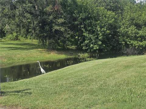 603 Canal Way, Oldsmar FL - photo 7 of 58