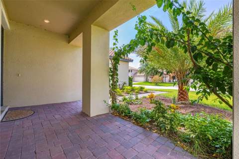 3855 Bowfin Trail, Kissimmee FL - photo 10 of 87