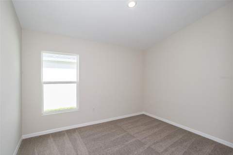 31702 Oyster Trellis Lane, Wesley Chapel FL - photo 16 of 23