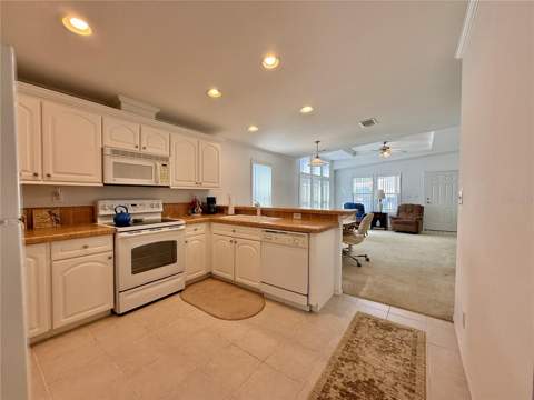 209 S Port Royal Lane, Apollo Beach FL - photo 11 of 38