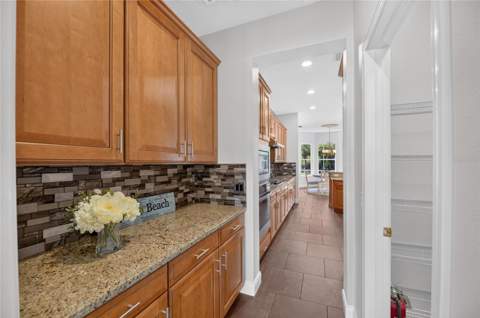 824 Islebay Drive, Apollo Beach FL - photo 20 of 99