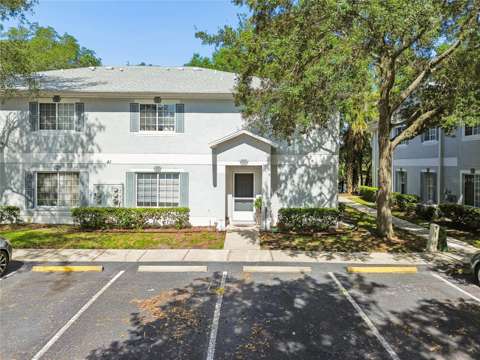 4009 Dolphin Drive, home for sale in Tampa 33617
