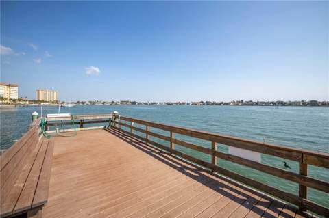 5220 Brittany Drive #1204, St Petersburg FL - photo 9 of 58