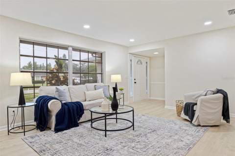 1011 Macrae Avenue, Clearwater FL - photo 7 of 35