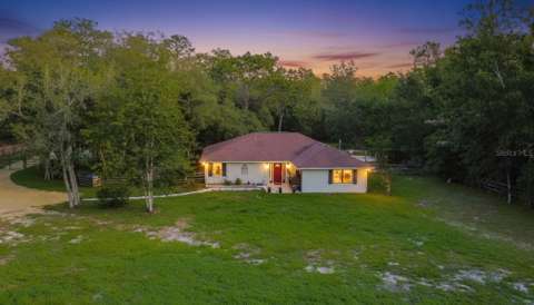 2925 W Birds Nest Drive, home for sale in Beverly Hills 34465