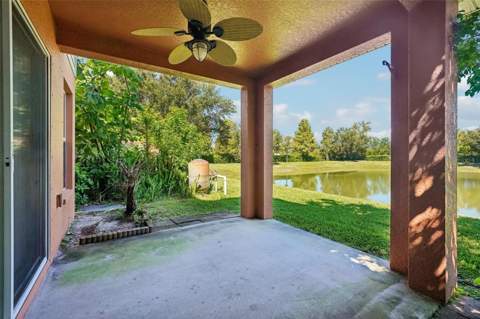2520 Colony Reed Lane, Clearwater FL - photo 17 of 27
