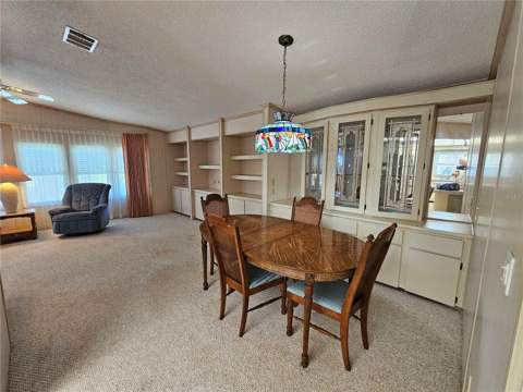 101 Dolphin Drive, Oldsmar FL - photo 14 of 34