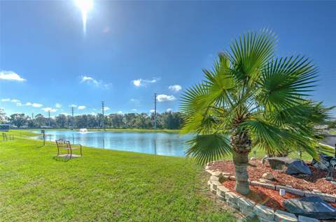 37605 Amigo Drive, Zephyrhills FL - photo 7 of 40