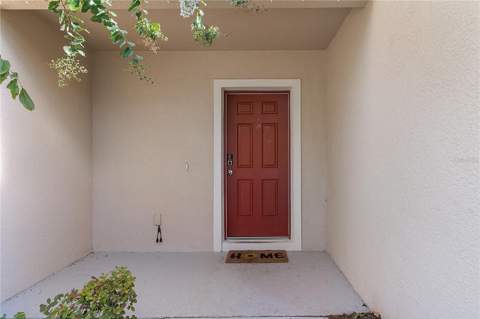 9033 Wildflower Lane, Kissimmee FL - photo 8 of 45