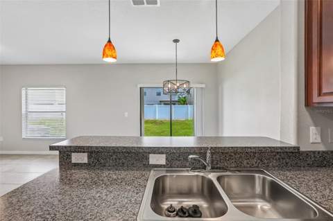 7414 Clary Sage Avenue, Tampa FL - photo 11 of 34