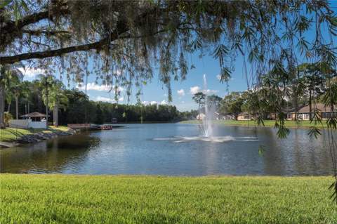 4916 Troon Lane, New Port Richey FL - photo 23 of 29
