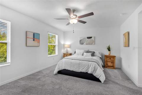 6033 Acara Lane, Land O Lakes FL - photo 7 of 29