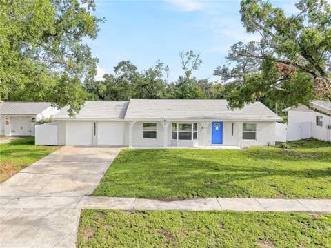 8011 Fountain Avenue, home for sale in Tampa 33615