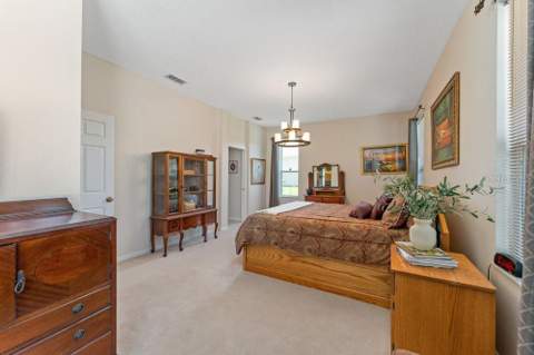 3463 Creek Run Lane, Eustis FL - photo 23 of 60