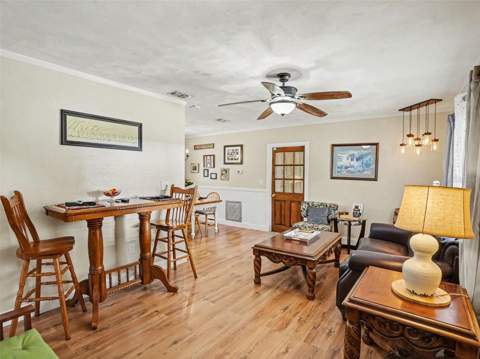 315 W 11th Avenue, Mount Dora FL - photo 8 of 31