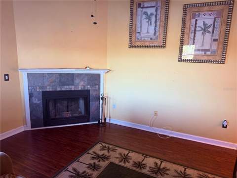 3338 Fernleaf Drive, Hernando Beach FL - photo 10 of 69
