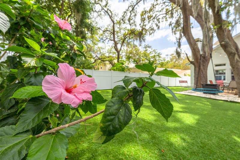 4 bedroom Single Family Residence at 901 Virginia Avenue, Orange Heights, Tarpon Springs — photo 3