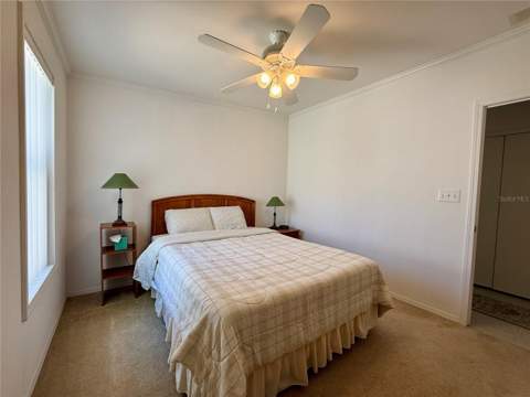 209 S Port Royal Lane, Apollo Beach FL - photo 18 of 38