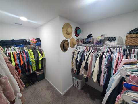 10960 Brightleaf Court, Riverview FL - photo 19 of 37