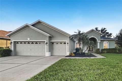 219 Ronja Lane, pool for sale in Valrico