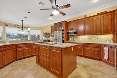 1920 Edgewater Drive, Mount Dora FL - photo 15 of 64