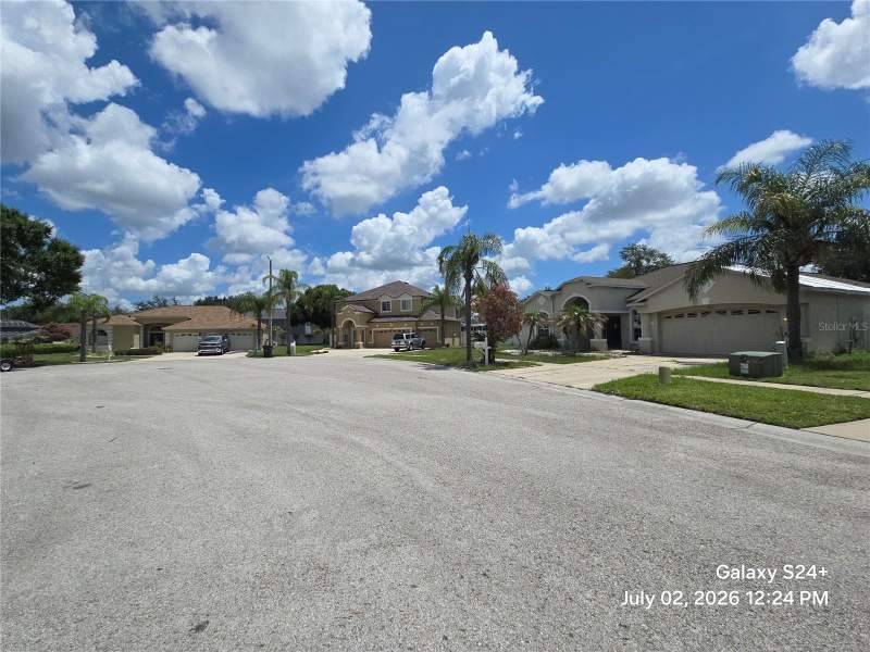4 bedroom Single Family Residence at 4106 Balington Drive, Buckhorn Preserve Phase 2, Valrico — photo 4