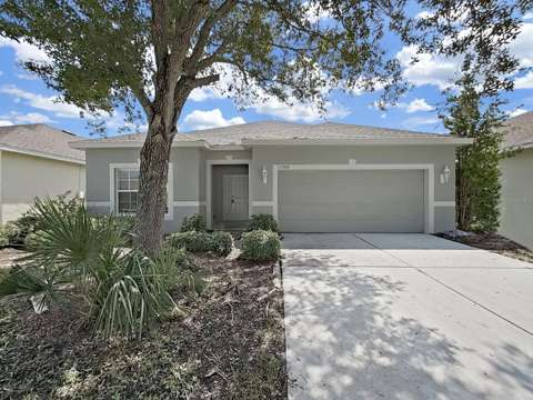 11908 Fern Blossom Drive, home for sale in Gibsonton 33534