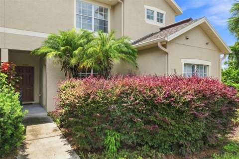 11082 Winter Crest Drive, home for sale in Riverview 33569