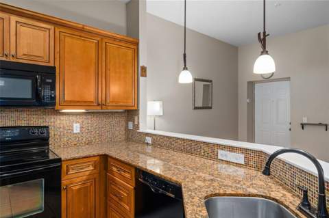 701 Mirror Lake Drive #120, St Petersburg FL - photo 23 of 63