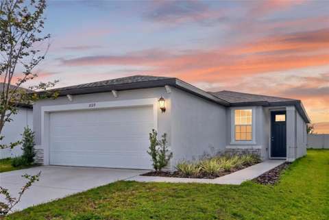 3729 Radiant Mountain Drive, home for sale in Plant City 33565