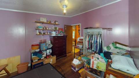 30501 Clearview Drive, Wesley Chapel FL - photo 11 of 29