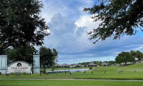 3430 Sagebrush Street, Harmony FL - photo 17 of 26