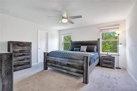 16959 Basswood Lane, Clermont FL - photo 19 of 47