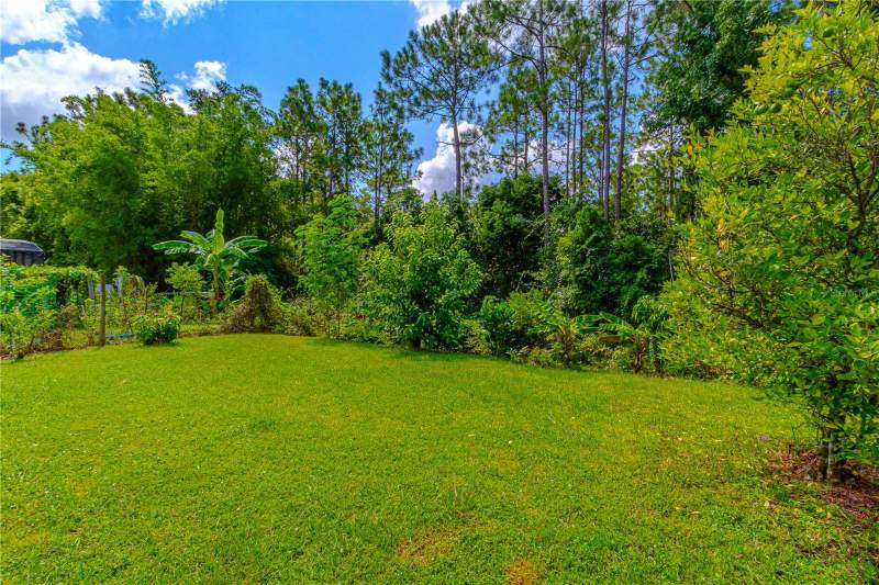 4 bedroom Single Family Residence at 10462 Willow Ridge Loop, Woodland Lakes Preserve, Orlando — photo 2